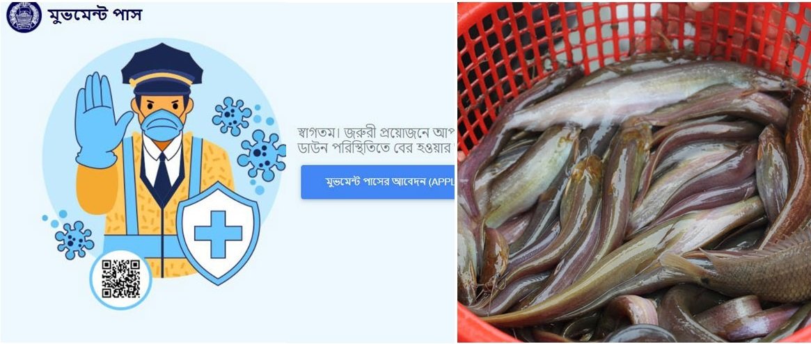 ‘মুভমেন্ট পাস’ নিয়ে শিং মাছ কিনতে গেলেন তিনি. অতঃপর....